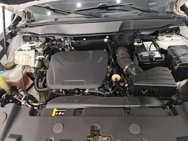 Haval Big Dog — Фото автомобиля 19