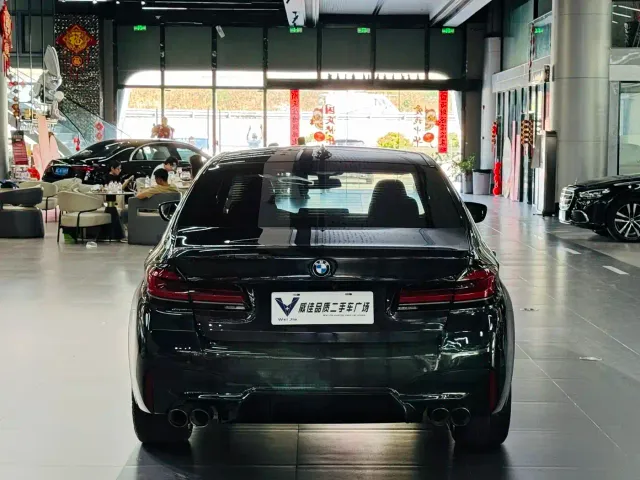 BMW 5 Series — Фото автомобиля 8