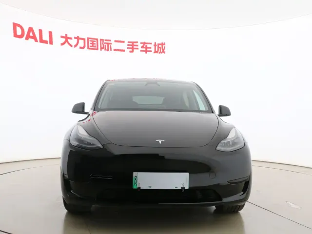Tesla Model Y — Фото автомобиля 3