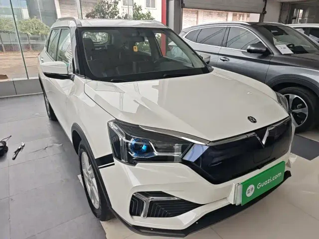 Venucia T60EV — Фото автомобиля 3