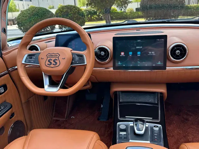 SONGSAN MOTORS SS DOLPHIN — Фото автомобиля 11