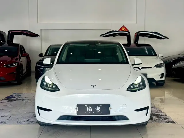 Tesla Model Y — Фото автомобиля 2
