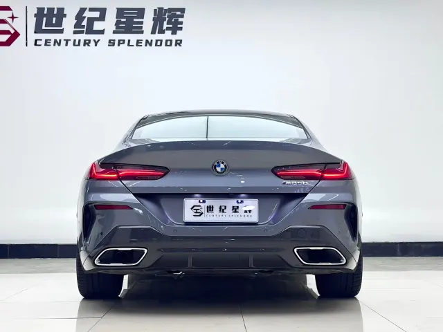 BMW 8 Series — Фото автомобиля 6