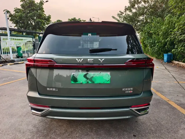 Wey Lanshan — Фото автомобиля 4
