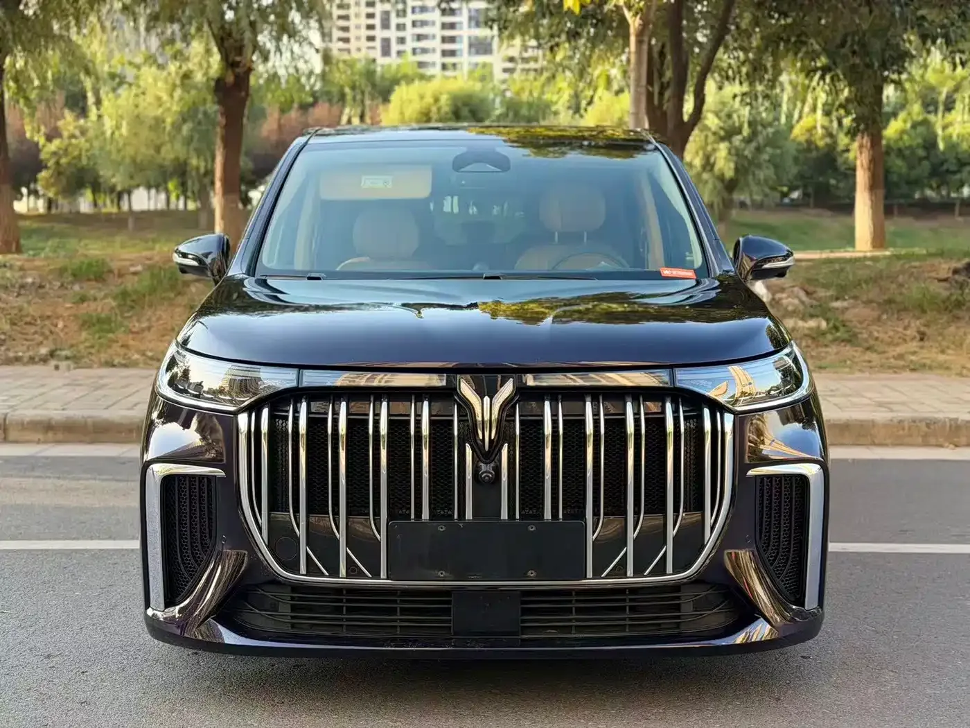 Voyah Auto Voyah Dreamer 2024 PHEV Extended Range Flagship Edition — Фото автомобиля 2