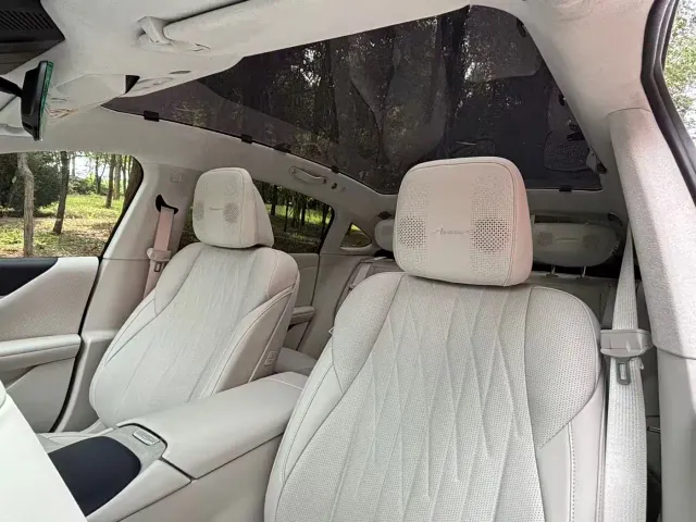 Buick Electra L7 — Фото автомобиля 14