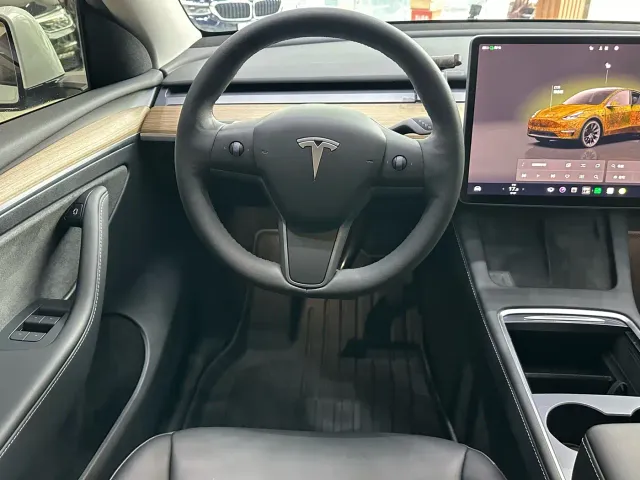 Tesla Model Y — Фото автомобиля 12