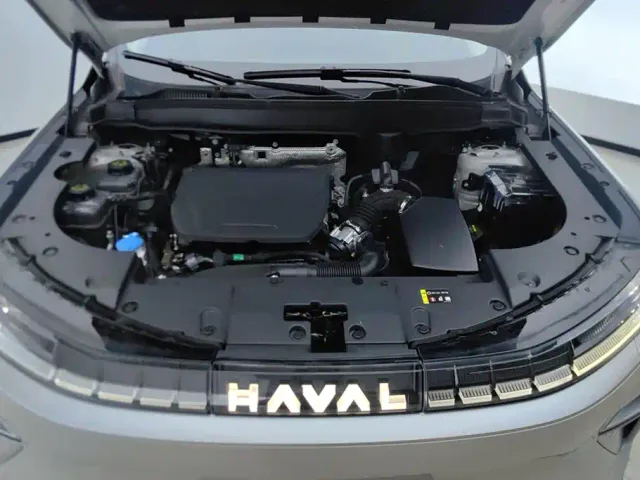 Haval Xiaolong MAX — Фото автомобиля 10
