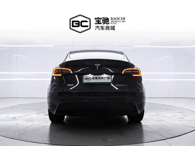 Tesla Model Y — Фото автомобиля 4