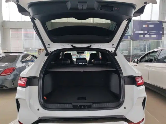 BYD Song PLUS — Фото автомобиля 18