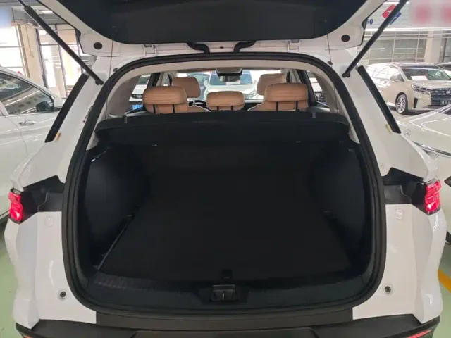 BYD Song Pro — Фото автомобиля 18
