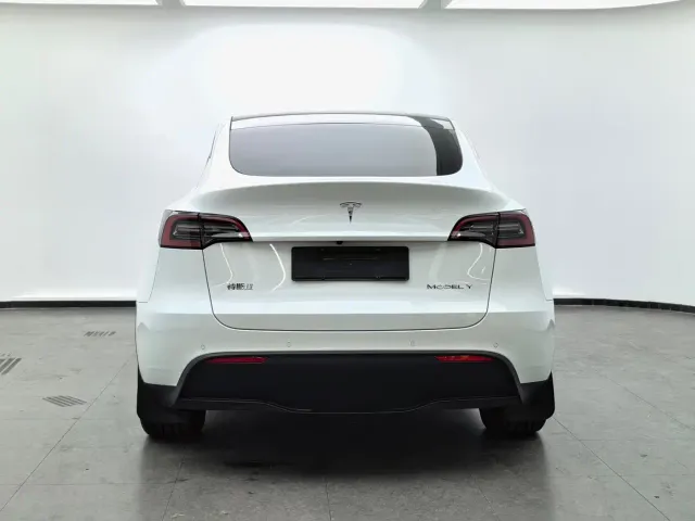 Tesla Model Y — Фото автомобиля 5