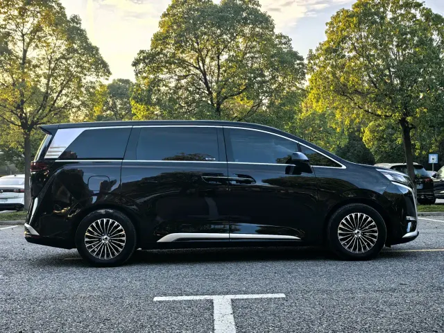 Denza Denza D9 2024 DM-i 980 AWD Prestige — Фото автомобиля 7