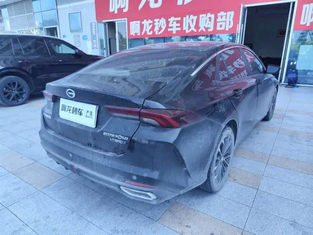 GAC Trumpchi Emkoo — Фото автомобиля 9