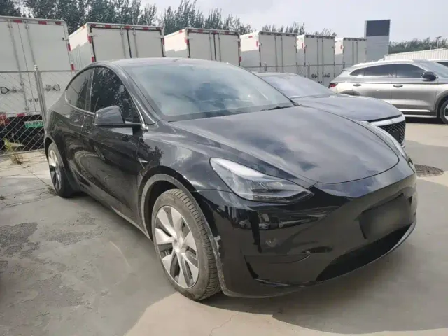 Tesla Model Y — Фото автомобиля 3