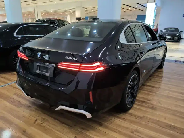 BMW 5 Series — Фото автомобиля 6