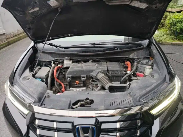 Honda Elysion — Фото автомобиля 19