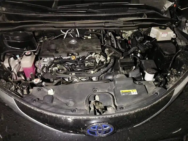 Toyota Granvia — Фото автомобиля 3