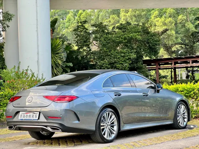 Mercedes-Benz CLS-Class — Фото автомобиля 12