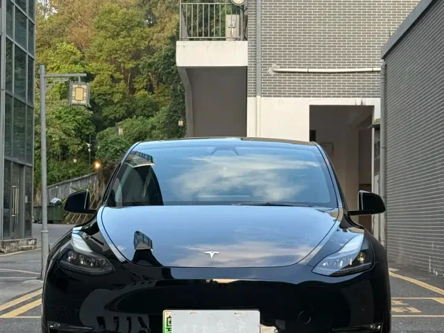 Tesla Model Y — Фото автомобиля 2