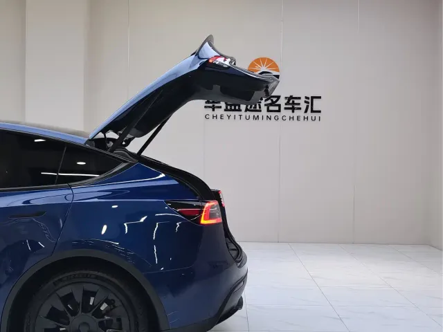 Tesla Model Y — Фото автомобиля 26