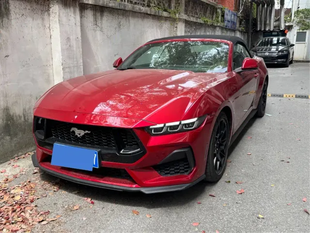 Ford Mustang — Фото автомобиля 19