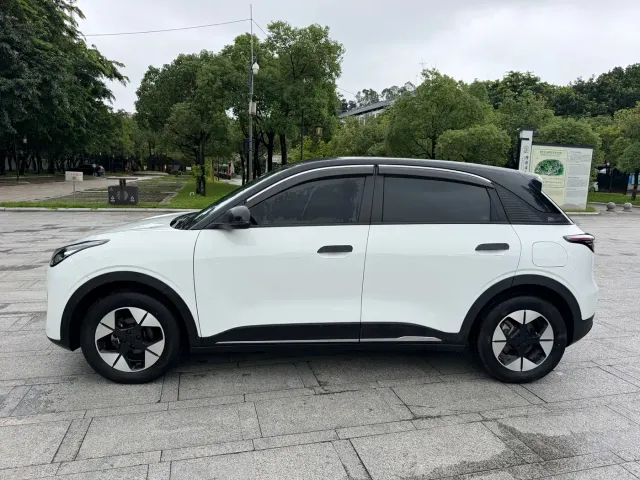 Geely Starry Wish — Фото автомобиля 13