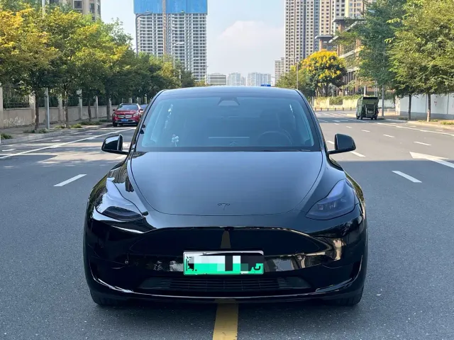 Tesla Model Y — Фото автомобиля 2
