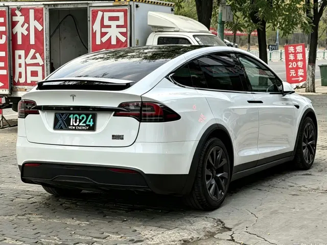Tesla Model X — Фото автомобиля 9