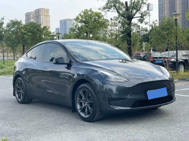 Tesla Model Y — Фото автомобиля 3