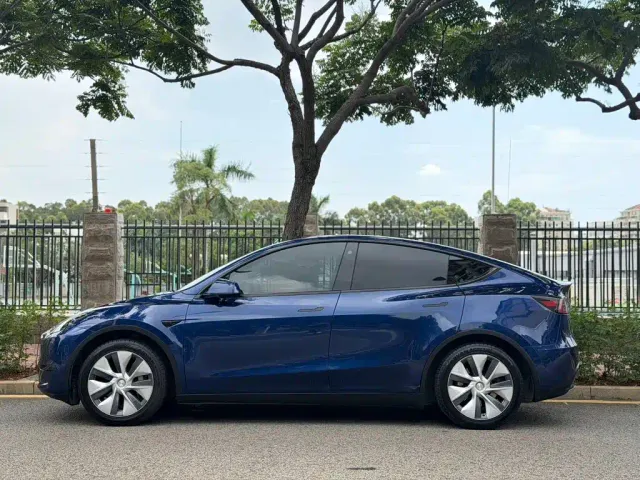 Tesla Model Y — Фото автомобиля 3