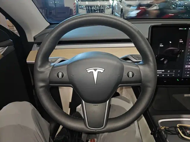 Tesla Model Y — Фото автомобиля 10