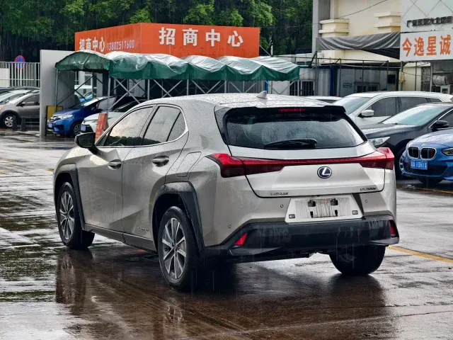 Lexus Lexus UX Electric 2020 300e Pure Enjoyment Edition — Фото автомобиля 6