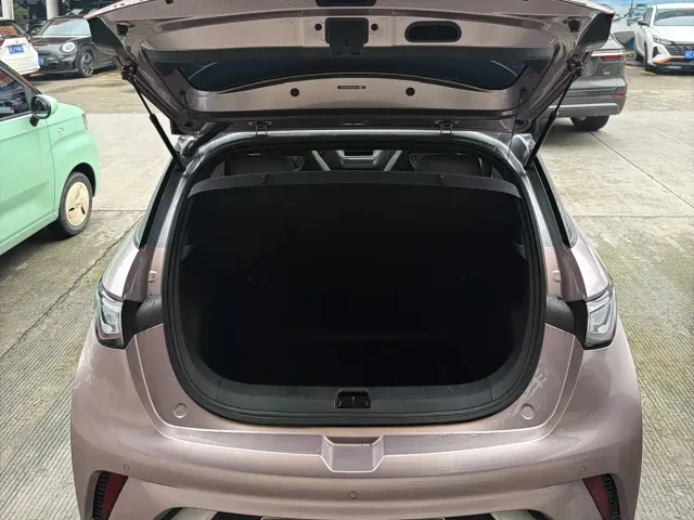 BYD Dolphin 2021 401km Knight Edition — Фото автомобиля 9