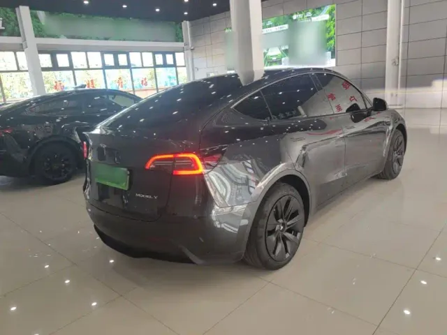 Tesla Model Y — Фото автомобиля 6
