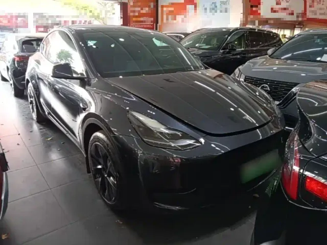 Tesla Model Y — Фото автомобиля 3