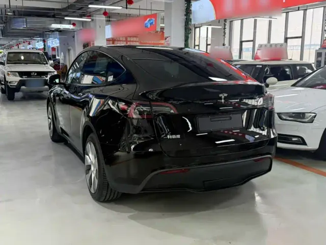 Tesla Model Y — Фото автомобиля 3