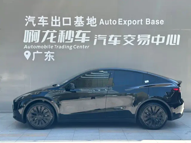 Tesla Model Y — Фото автомобиля 3