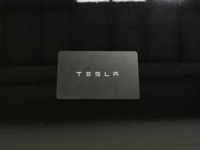 Tesla Model Y — Фото автомобиля 19