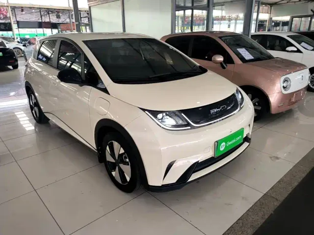 BYD Dolphin — Фото автомобиля 21