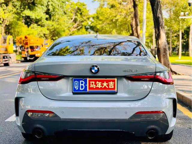 BMW 4 Series — Фото автомобиля 9