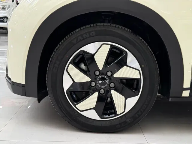 BYD Dolphin — Фото автомобиля 14