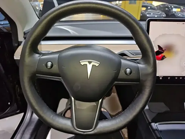 Tesla Model 3 — Фото автомобиля 10