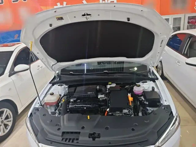 BYD Qin PLUS — Фото автомобиля 19