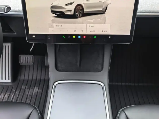 Tesla Model Y — Фото автомобиля 13