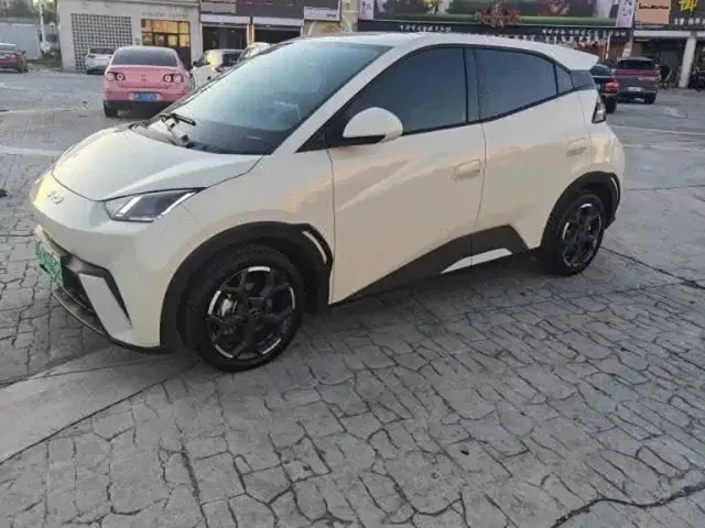 Фотография автомобиля — BYD Seagull