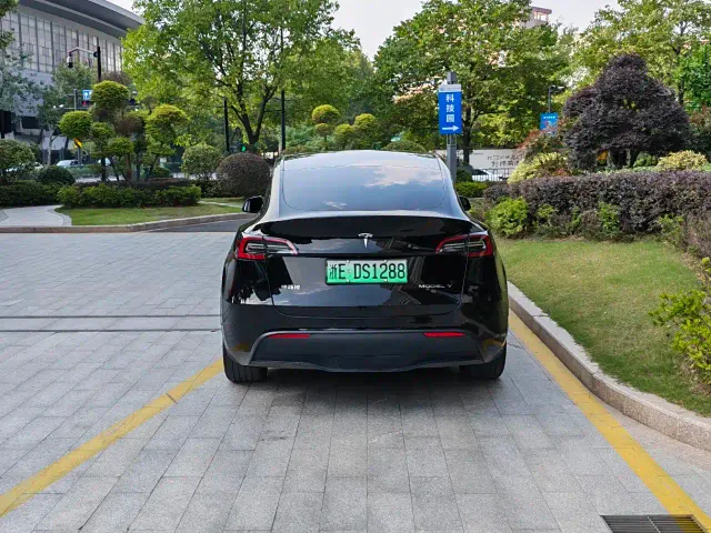 Tesla Model Y — Фото автомобиля 6