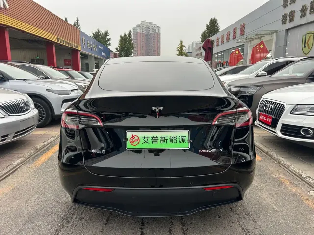Tesla Model Y — Фото автомобиля 3