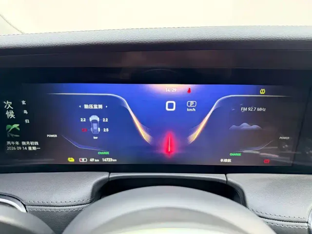 Hongqi Hongqi E-HS9 2021 460km Flagship Comfort 6-seater — Фото автомобиля 23