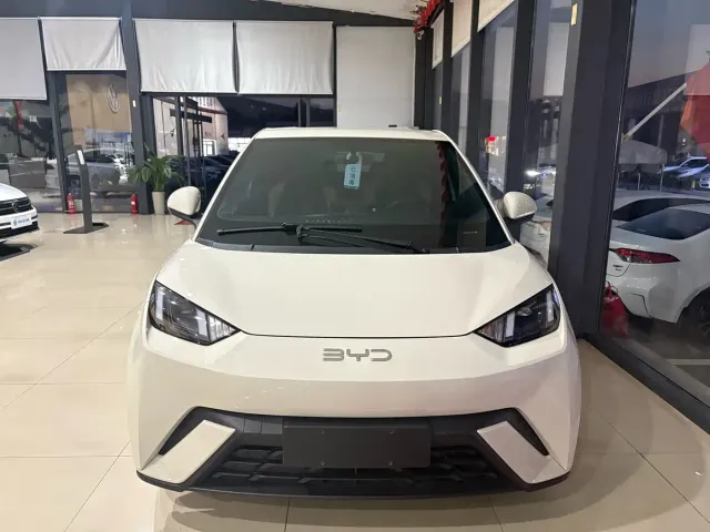 BYD Seagull — Фото автомобиля 2